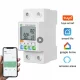 63A Smart Power Meter Switch Build-in Relay WiFi Tuya App Controlled Energy Circuit Breaker AC 80-300V