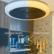 Smart Fan Ceiling Light RGB Lighting APP WIFI bluetooth Music Speaker Lamps LED 6 Speed Home Living Room Bedroom Remote Control