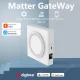 Matter Thread Hub Wired Zigbee Tuya Smart Life Home Bridge Matter Gateway Support Voice Control for Alexa Google Home Homekit